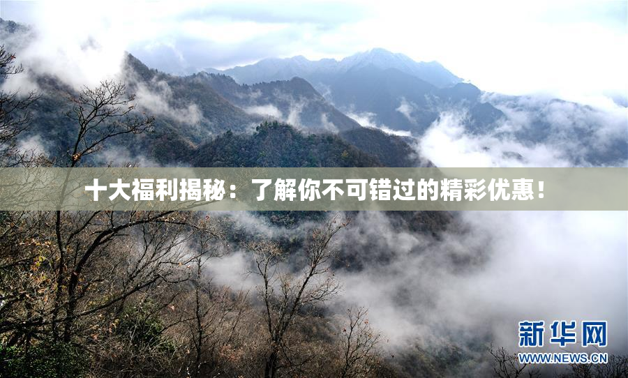 十大福利揭秘：了解你不可错过的精彩优惠！