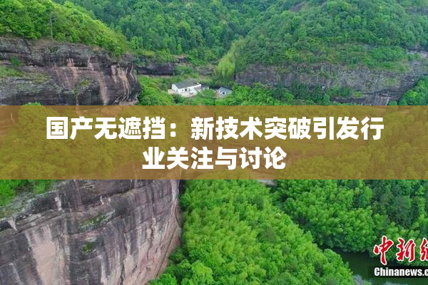 国产无遮挡：新技术突破引发行业关注与讨论