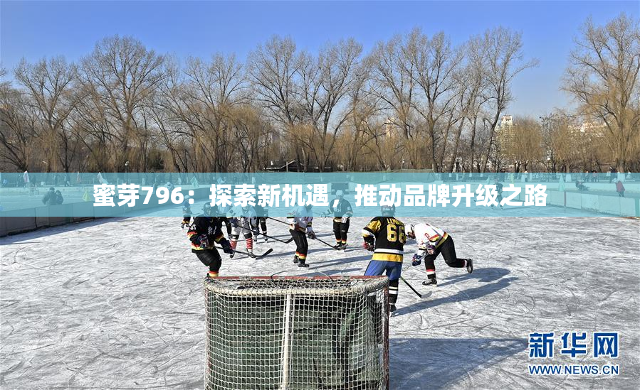 蜜芽796：探索新机遇，推动品牌升级之路