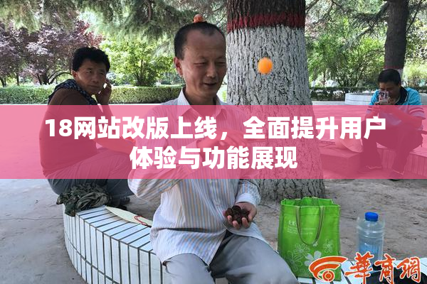 18网站改版上线，全面提升用户体验与功能展现