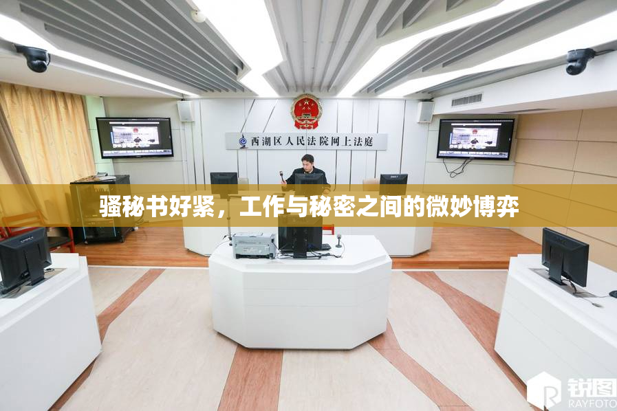 骚秘书好紧，工作与秘密之间的微妙博弈