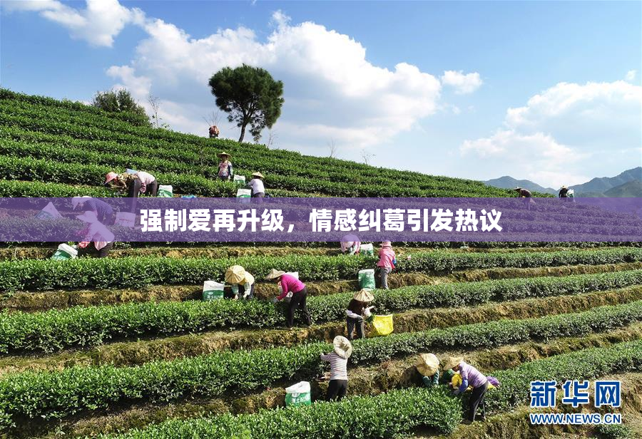 强制爱再升级，情感纠葛引发热议