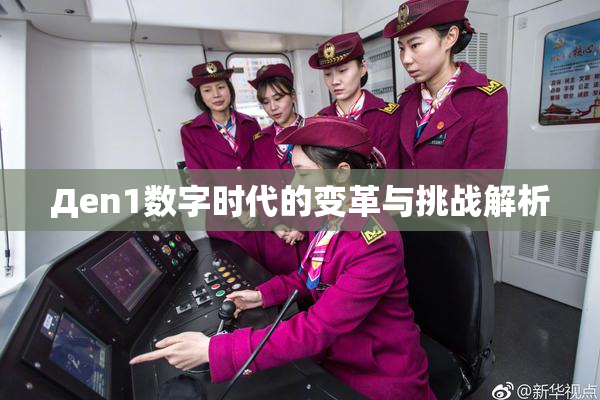 Дen1数字时代的变革与挑战解析