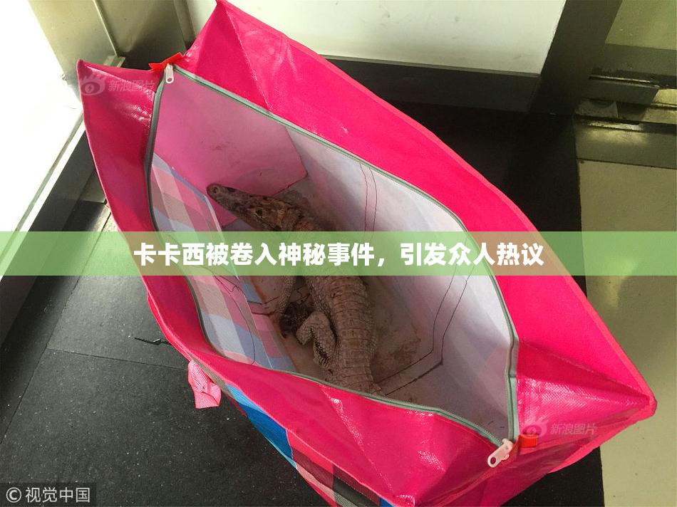 卡卡西被卷入神秘事件，引发众人热议