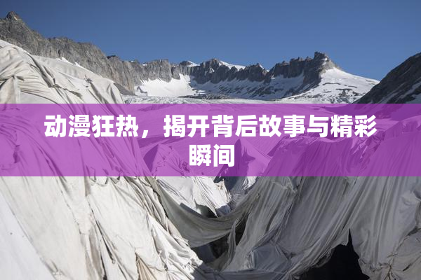 动漫狂热，揭开背后故事与精彩瞬间