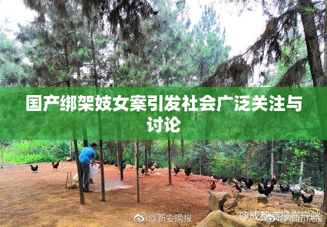 国产绑架妓女案引发社会广泛关注与讨论