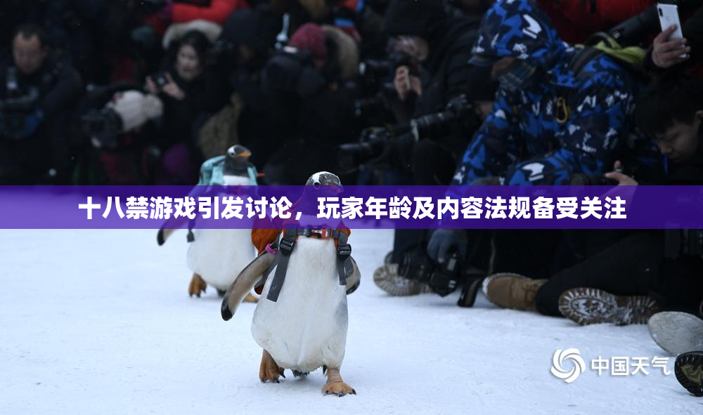 十八禁游戏引发讨论，玩家年龄及内容法规备受关注