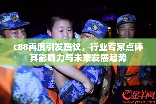 c88再度引发热议，行业专家点评其影响力与未来发展趋势