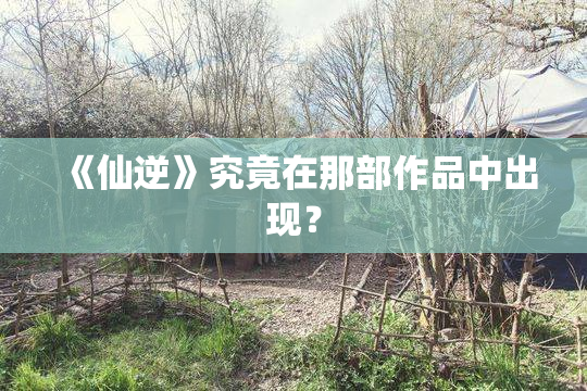 《仙逆》究竟在那部作品中出现？