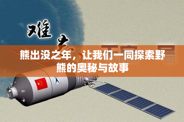 熊出没之年，让我们一同探索野熊的奥秘与故事