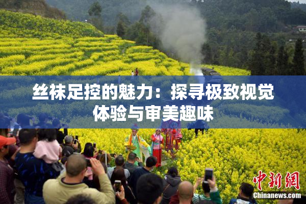 丝袜足控的魅力：探寻极致视觉体验与审美趣味