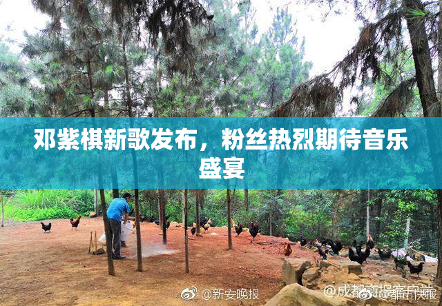 邓紫棋新歌发布，粉丝热烈期待音乐盛宴