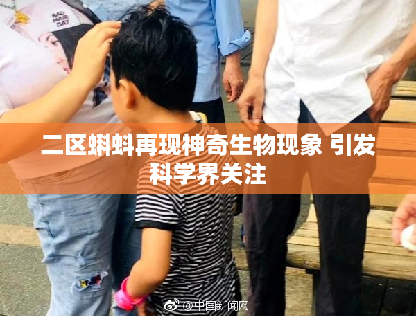 二区蝌蚪再现神奇生物现象 引发科学界关注