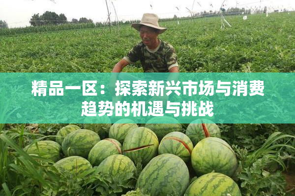 精品一区：探索新兴市场与消费趋势的机遇与挑战
