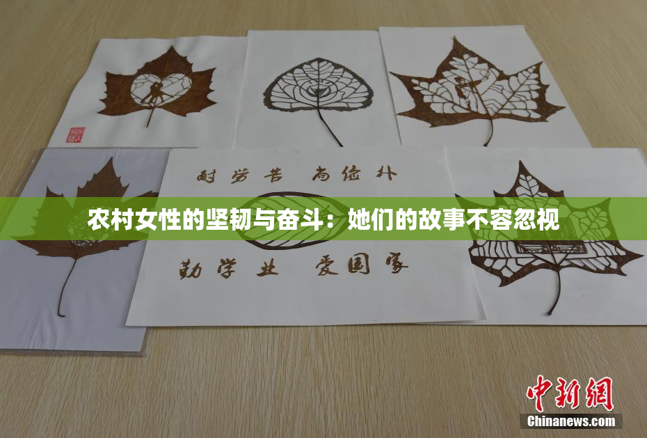 农村女性的坚韧与奋斗：她们的故事不容忽视