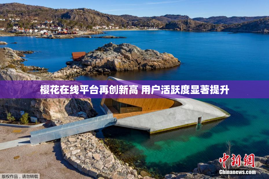 樱花在线平台再创新高 用户活跃度显著提升