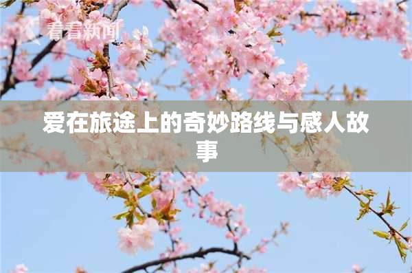 爱在旅途上的奇妙路线与感人故事