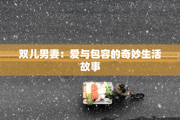 双儿男妻：爱与包容的奇妙生活故事