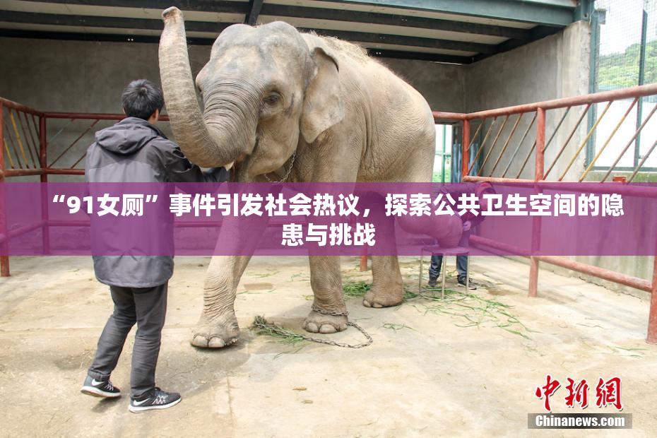 “91女厕”事件引发社会热议，探索公共卫生空间的隐患与挑战