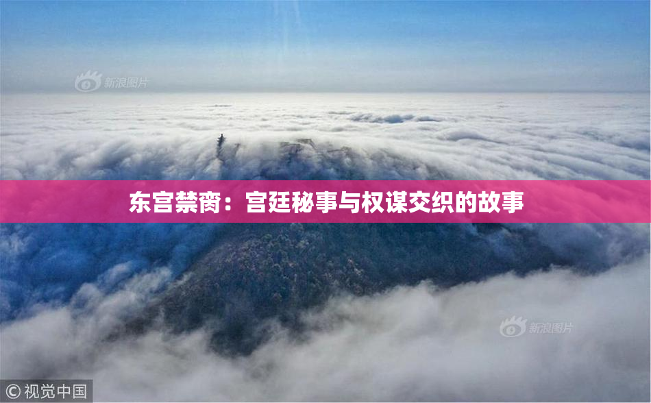 东宫禁脔：宫廷秘事与权谋交织的故事