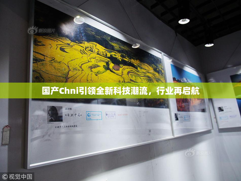 国产Chni引领全新科技潮流，行业再启航