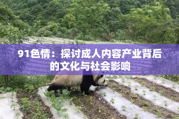91色情：探讨成人内容产业背后的文化与社会影响