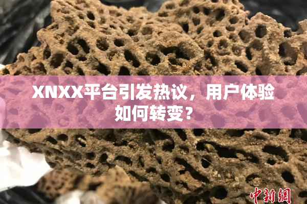 XNXX平台引发热议，用户体验如何转变？