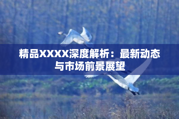 精品XXXX深度解析：最新动态与市场前景展望