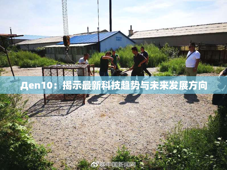 Дen10：揭示最新科技趋势与未来发展方向