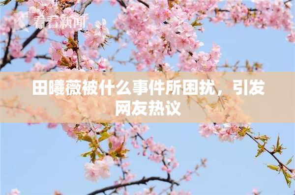 田曦薇被什么事件所困扰，引发网友热议