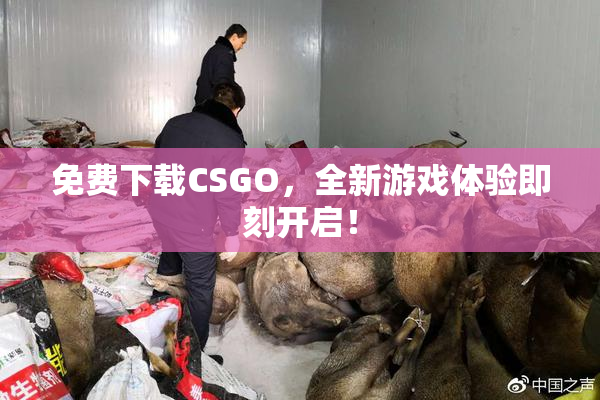 免费下载CSGO，全新游戏体验即刻开启！