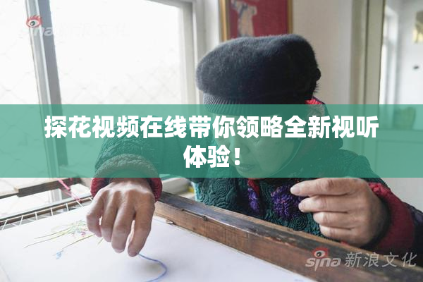 探花视频在线带你领略全新视听体验！