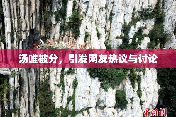汤唯被分，引发网友热议与讨论