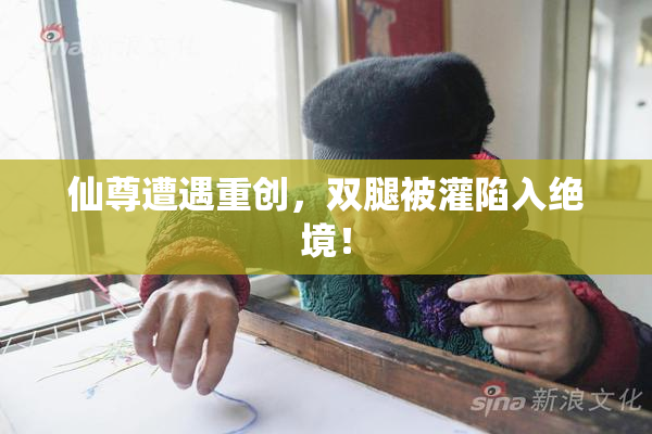 仙尊遭遇重创，双腿被灌陷入绝境！