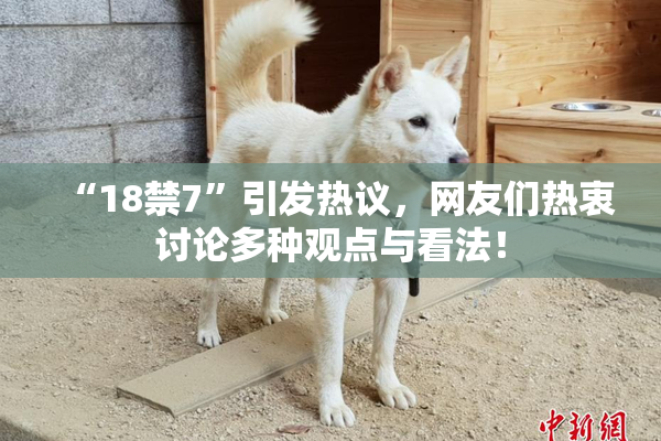 “18禁7”引发热议，网友们热衷讨论多种观点与看法！
