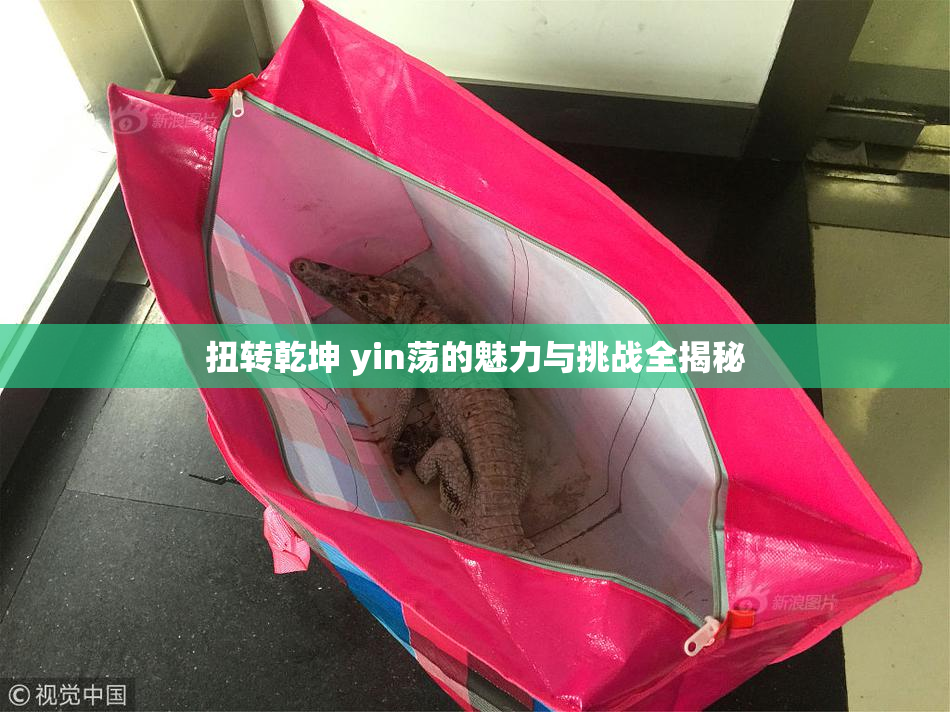 扭转乾坤 yin荡的魅力与挑战全揭秘