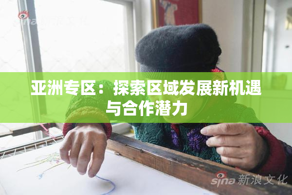 亚洲专区：探索区域发展新机遇与合作潜力
