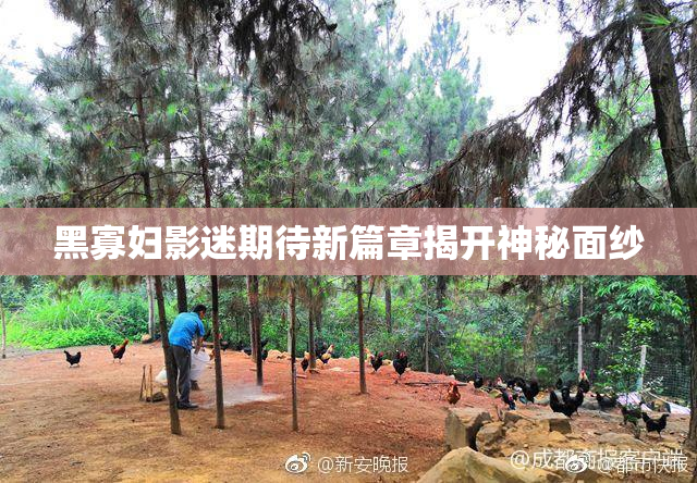 黑寡妇影迷期待新篇章揭开神秘面纱