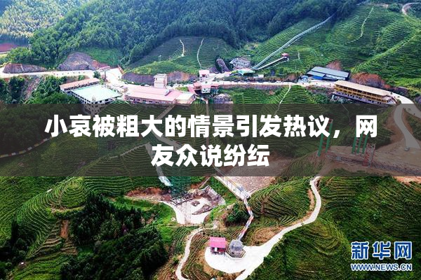 小哀被粗大的情景引发热议，网友众说纷纭