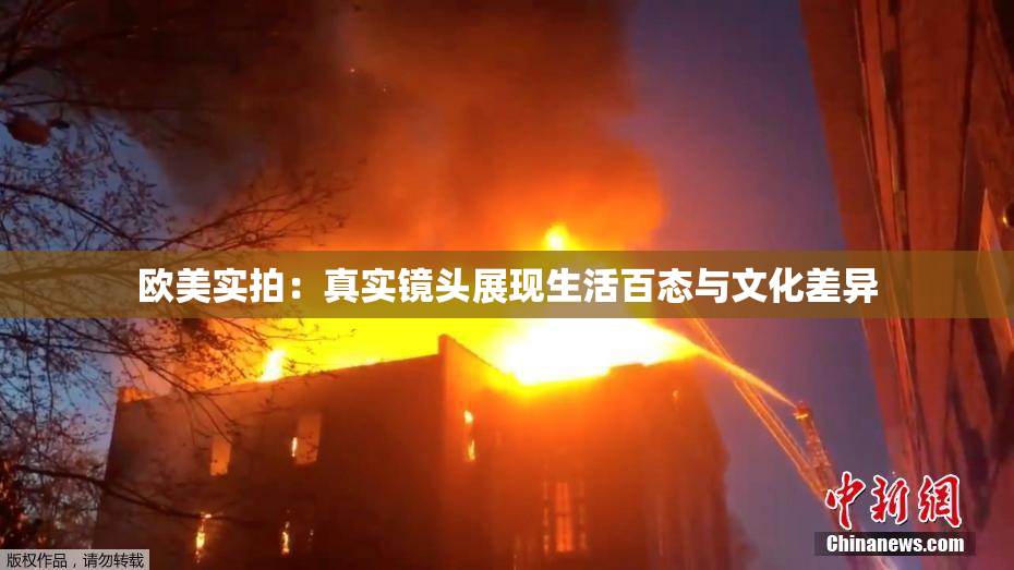 欧美实拍：真实镜头展现生活百态与文化差异