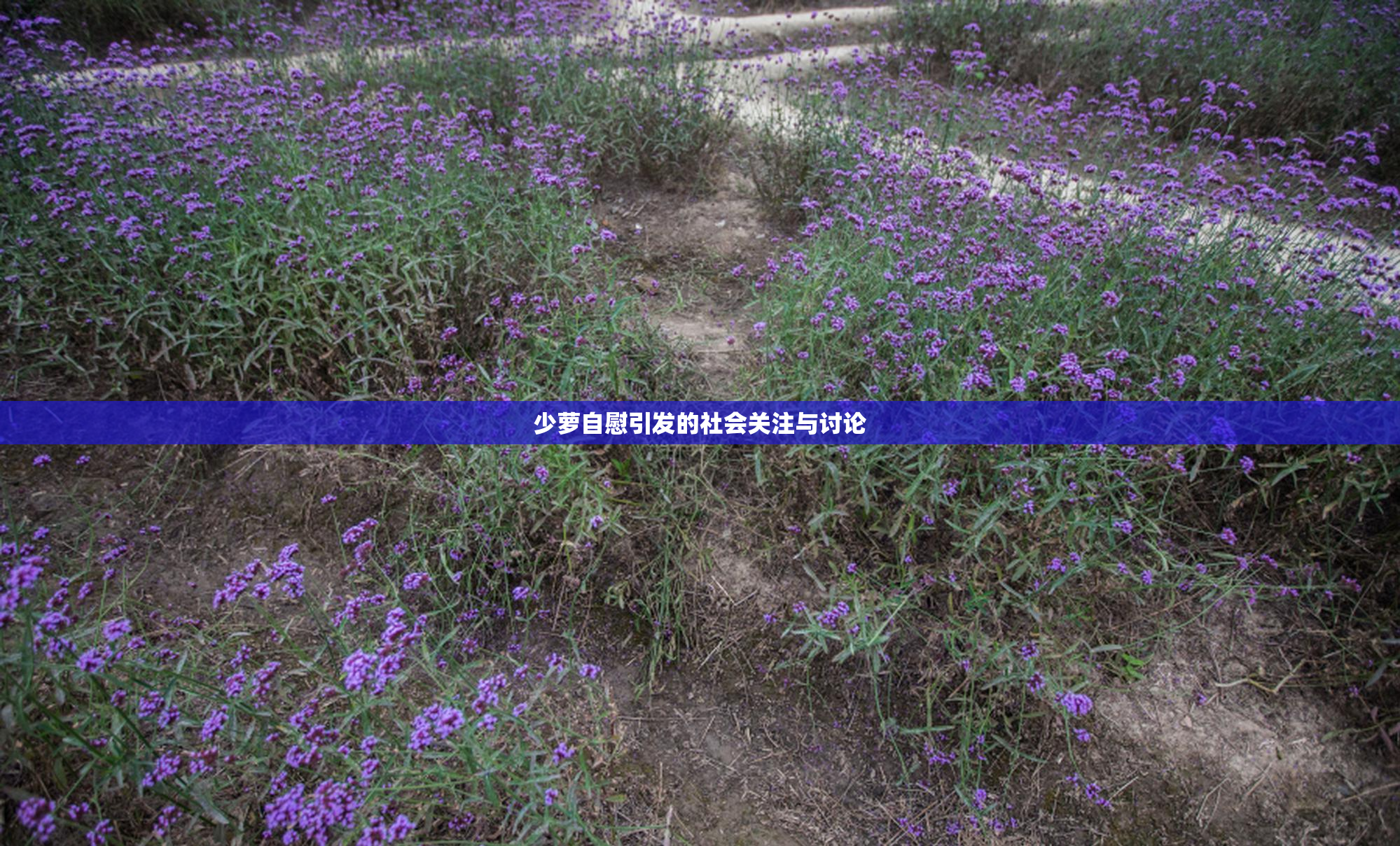 少萝自慰引发的社会关注与讨论