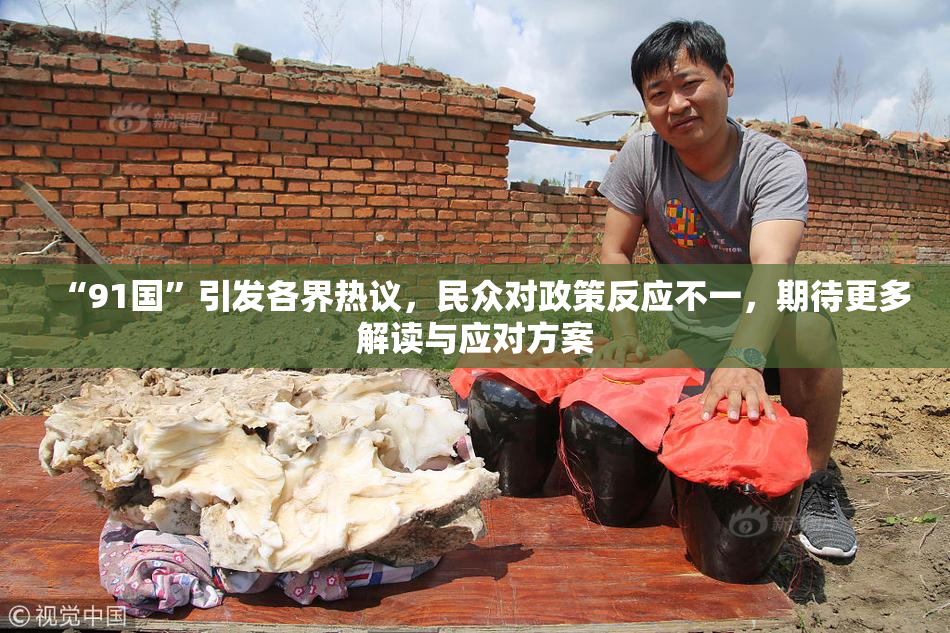 “91国”引发各界热议，民众对政策反应不一，期待更多解读与应对方案