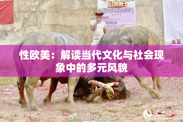 性欧美：解读当代文化与社会现象中的多元风貌
