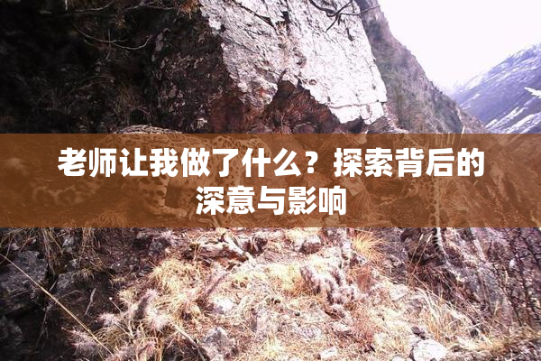 老师让我做了什么？探索背后的深意与影响