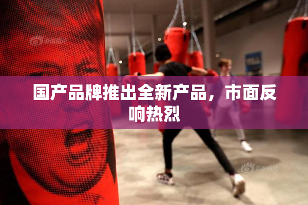 国产品牌推出全新产品，市面反响热烈