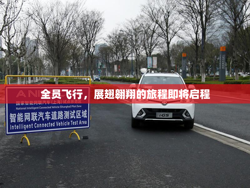 全员飞行，展翅翱翔的旅程即将启程
