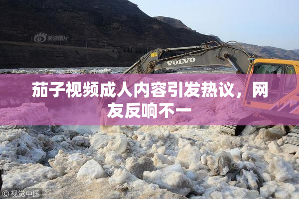茄子视频成人内容引发热议，网友反响不一