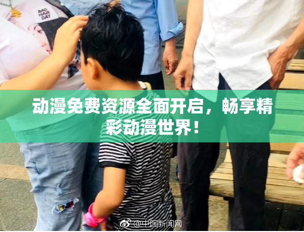 动漫免费资源全面开启，畅享精彩动漫世界！