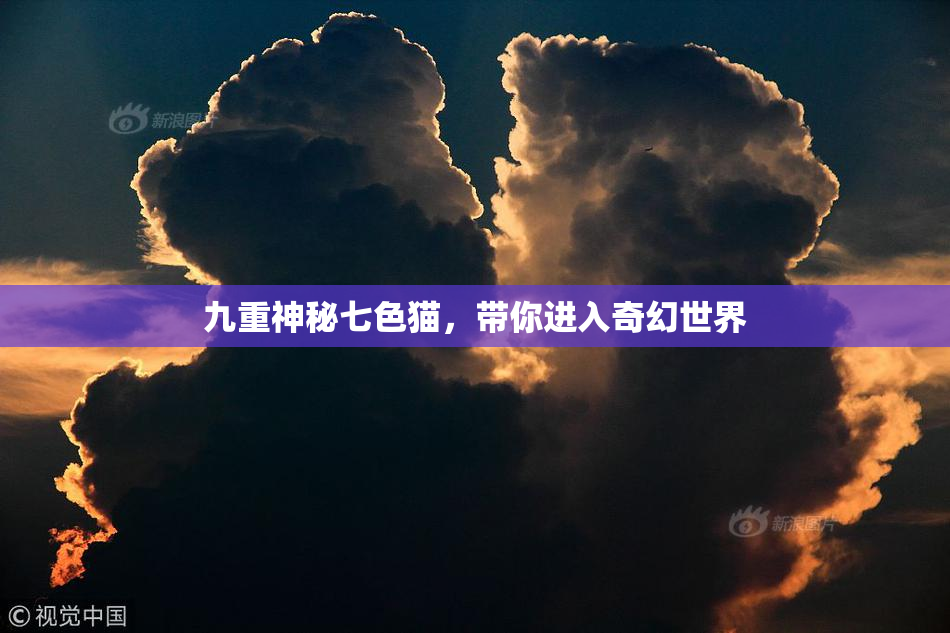 九重神秘七色猫，带你进入奇幻世界