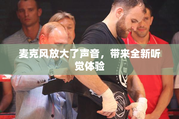 麦克风放大了声音，带来全新听觉体验